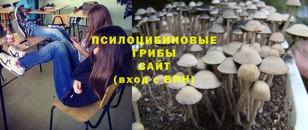 спиды Осинники