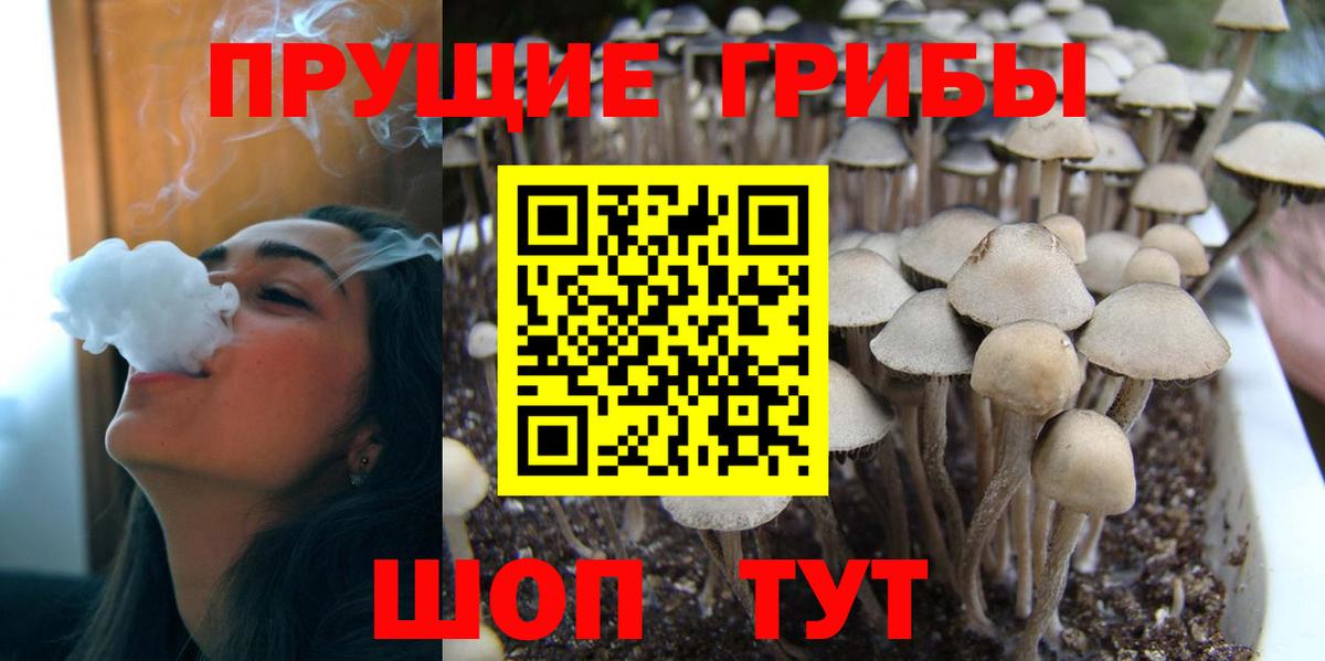 Галлюциногенные грибы Psilocybe  Вход с VPN  Галлюциногенные грибы Magic Shrooms  Старый Оскол 