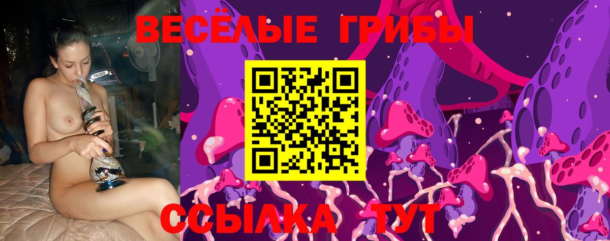 Псилоцибиновые грибы Psilocybine cubensis  Старый Оскол  где найти   Галлюциногенные грибы Magic Shrooms 