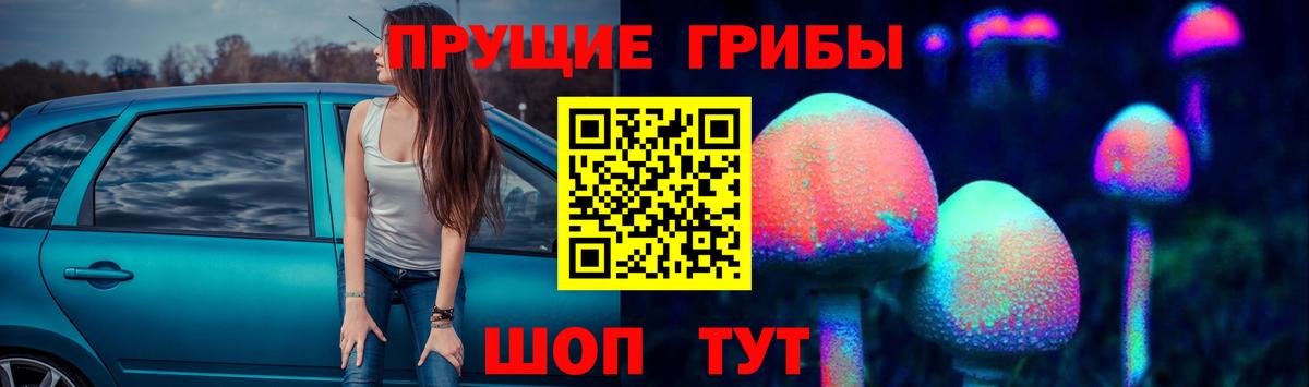 Галлюциногенные грибы Psilocybine cubensis Старый Оскол